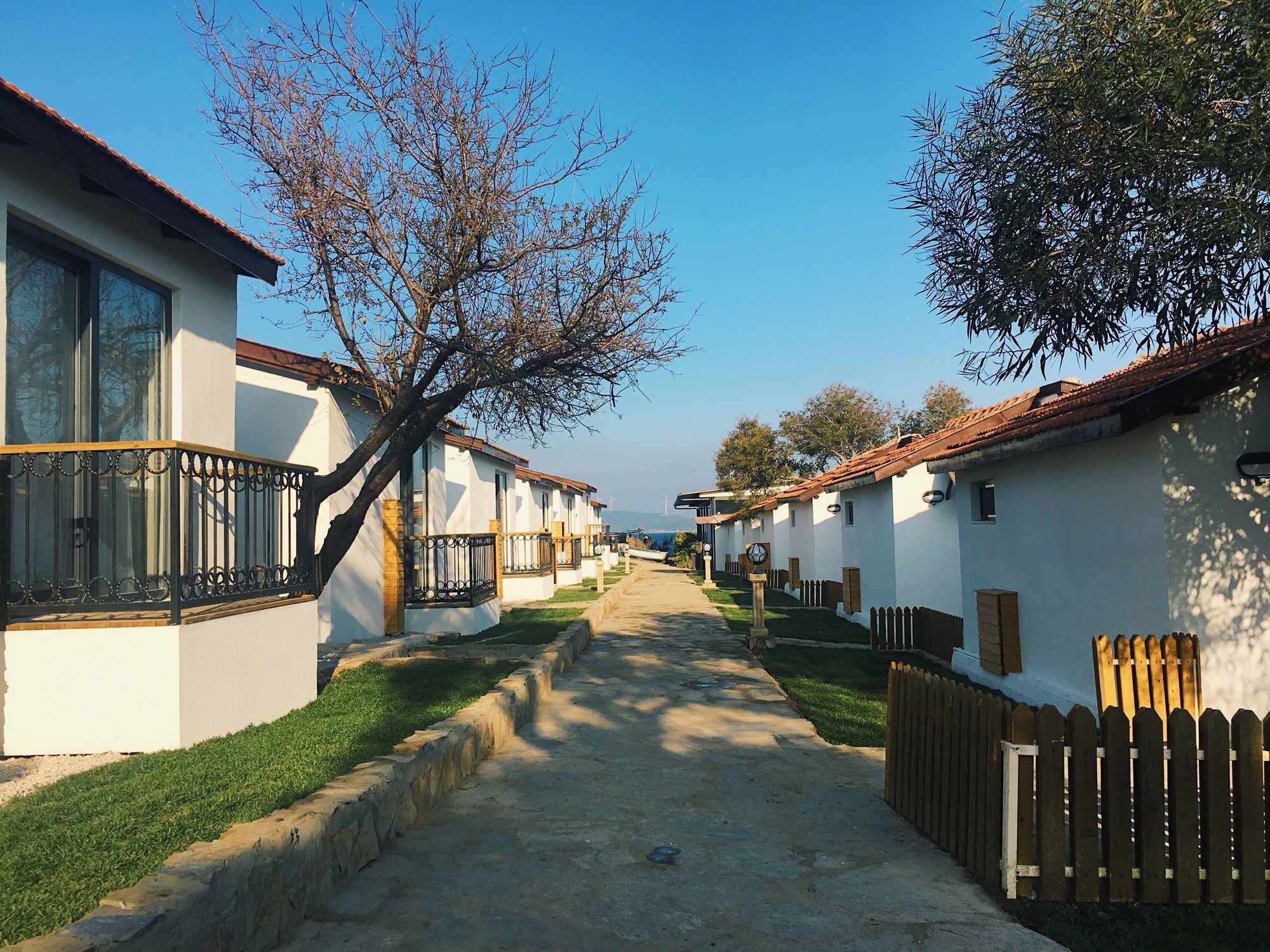 Maya Bistro Hotel & Beach Siğacık Exteriör bild